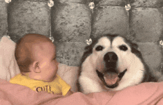 00后海归男，怎么都在相亲？休闲区蓝鸢梦想 - Www.slyday.coM