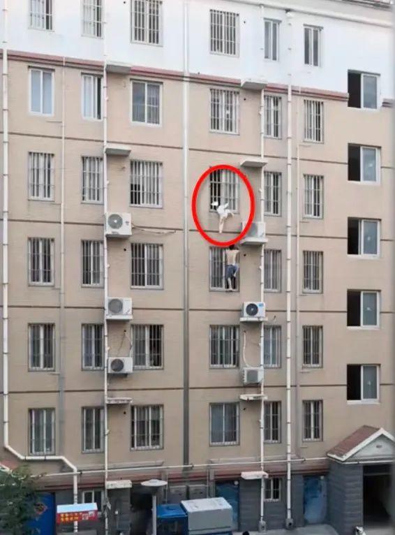 惊险！女童头卡防盗窗悬挂4楼窗外，山东小哥穿拖鞋徒手爬3层楼搭救休闲区蓝鸢梦想 - Www.slyday.coM