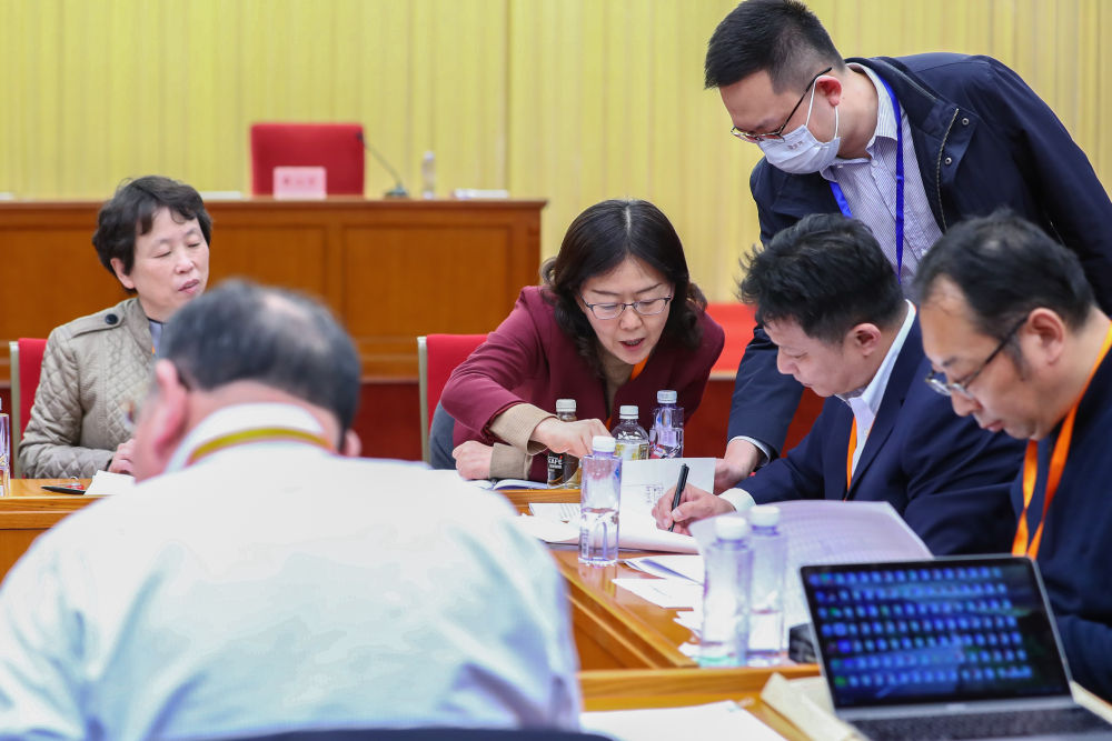 专家们在2020年国家医保目录调整中药专业组专家评审会上讨论发言。(新华社记者 张玉薇 摄)