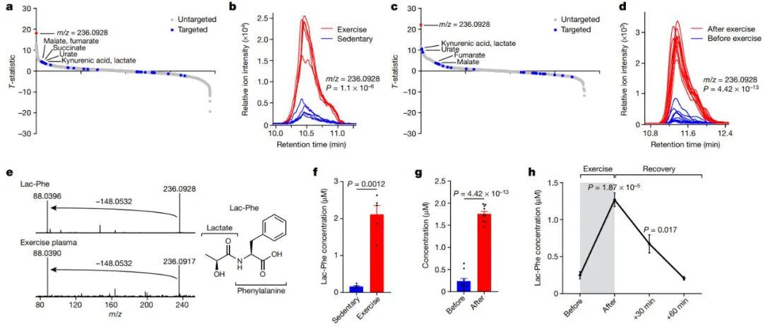 今日《自然》：吃胖了，不用运动也能轻松减肥？是的，科学家有办法了！休闲区蓝鸢梦想 - Www.slyday.coM