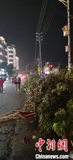 广州从化太平镇出现“龙卷风”  暂无发现人员伤亡休闲区蓝鸢梦想 - Www.slyday.coM