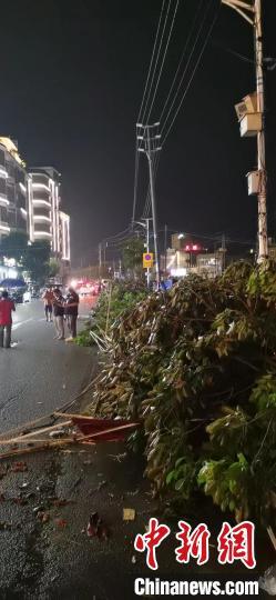 广州从化太平镇出现“龙卷风”暂无发现人员伤亡休闲区蓝鸢梦想 - Www.slyday.coM