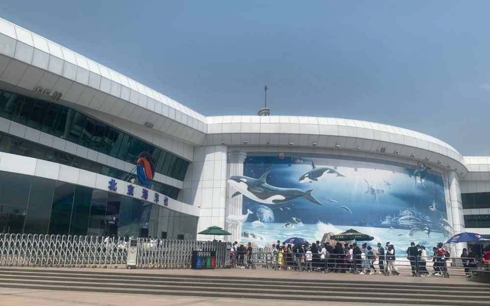 北京海洋馆获近亿元融资，此前捧红多位动物“网红”
