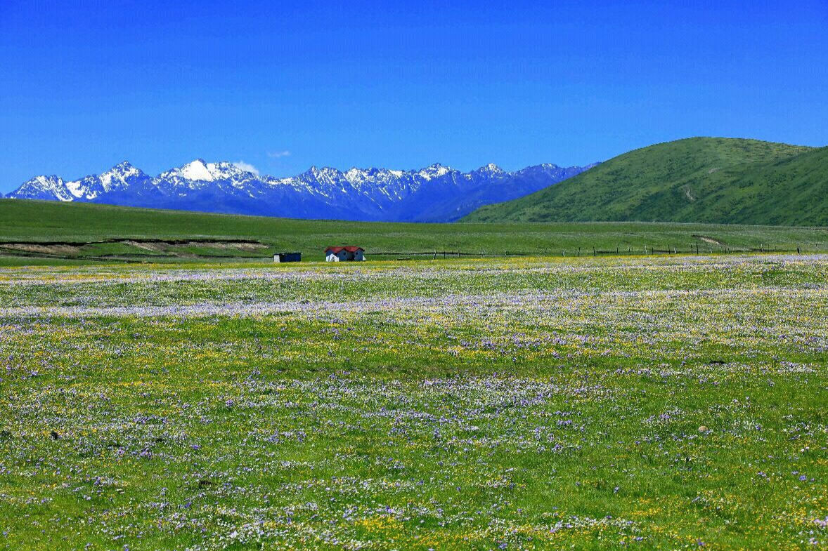四川很低调的草原曾登上国家地理杂志是中国6大草原之一