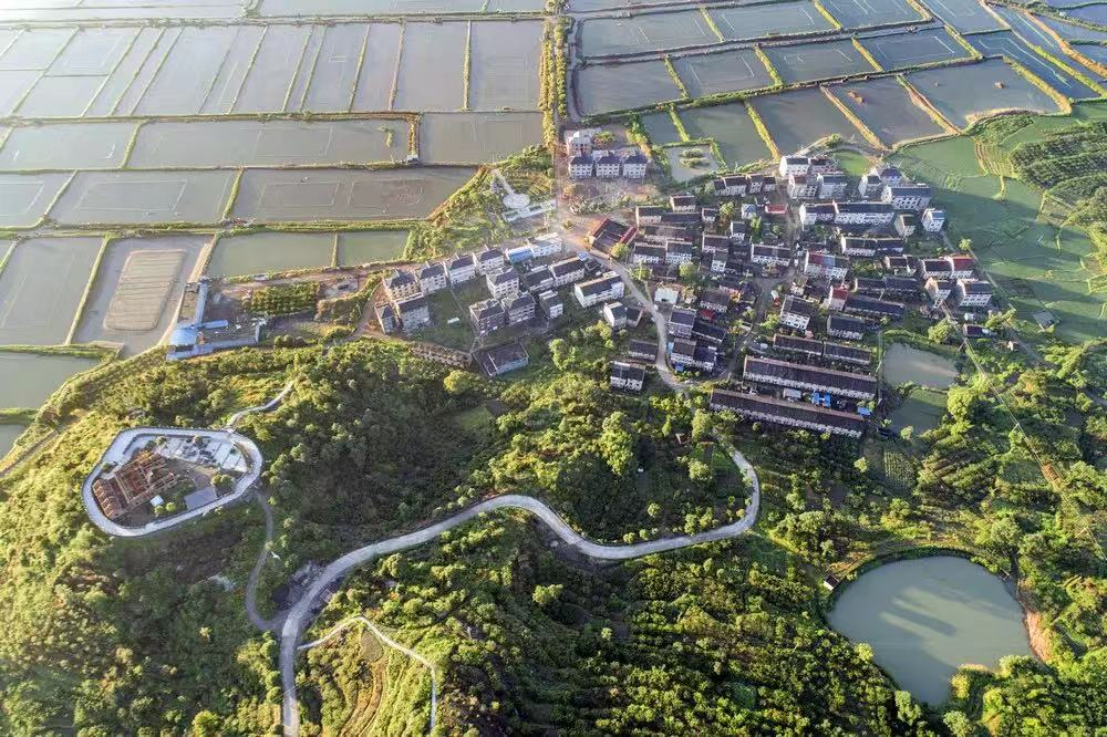 三门县沙柳街道船帮里自新村融合以来就开始以并村为契机全速率先推进