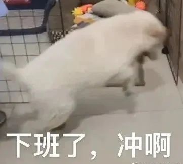 表情包又更新了下班了