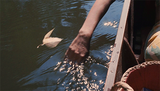 我亲人刚去世，老婆就在家里吃小龙虾，这样的女人还能要吗？休闲区蓝鸢梦想 - Www.slyday.coM