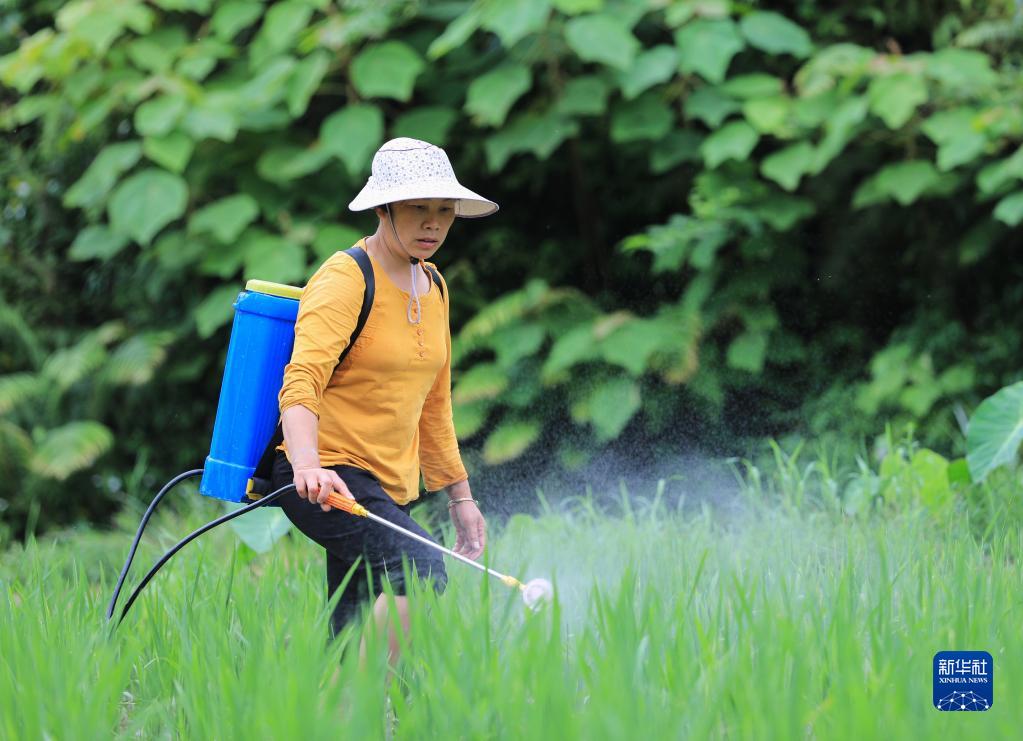 新华全媒 丨我们的田野——我和我的"伙计"|浙江省|湖州市_新浪新闻