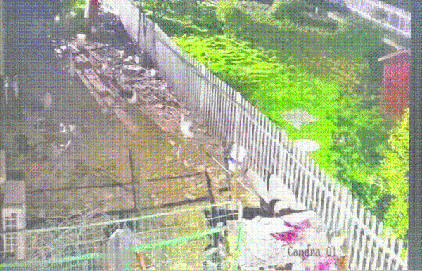 浙江一男子酒后偷鸭被绊倒掉入鸭粪坑，到手的鸭子还飞了休闲区蓝鸢梦想 - Www.slyday.coM