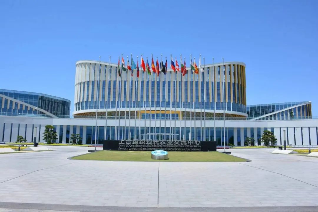 多国主流媒体云聚杨凌讲述上合故事