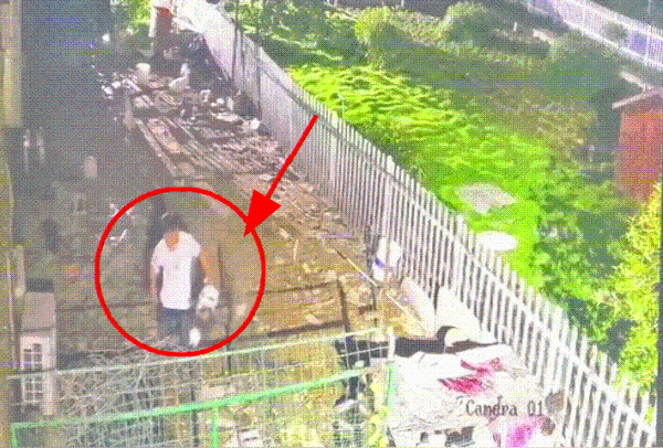 浙江一男子酒后偷鸭被绊倒掉入鸭粪坑，到手的鸭子还飞了休闲区蓝鸢梦想 - Www.slyday.coM