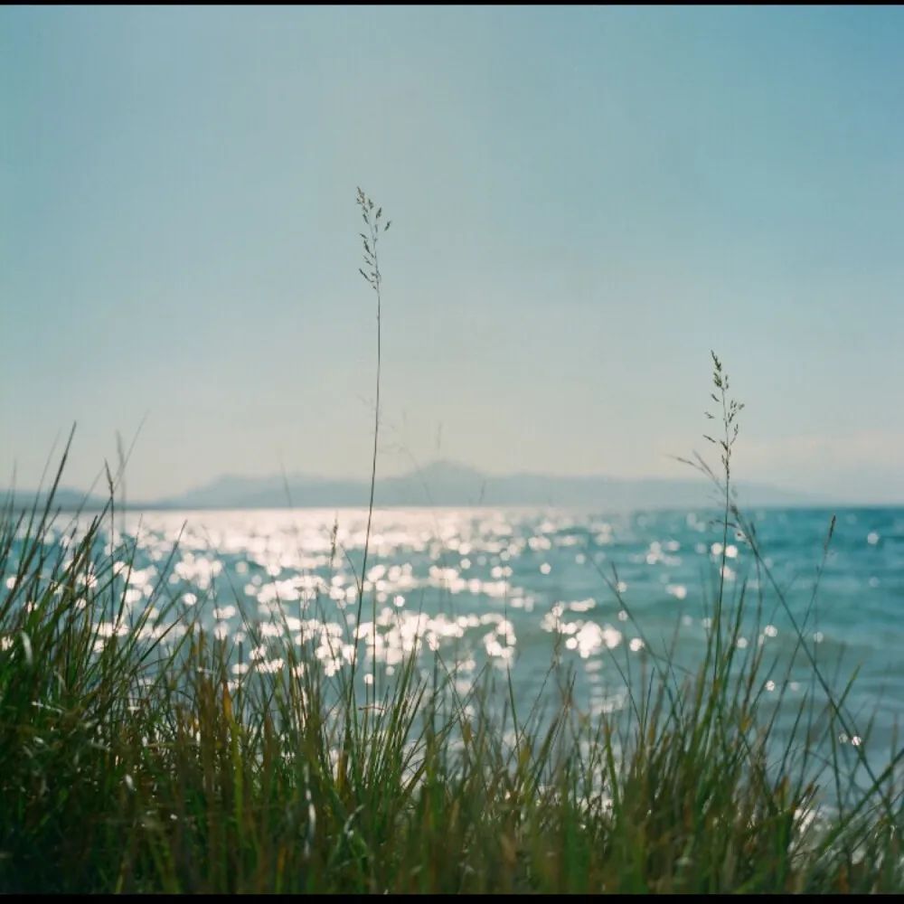 我亲人刚去世，老婆就在家里吃小龙虾，这样的女人还能要吗？休闲区蓝鸢梦想 - Www.slyday.coM