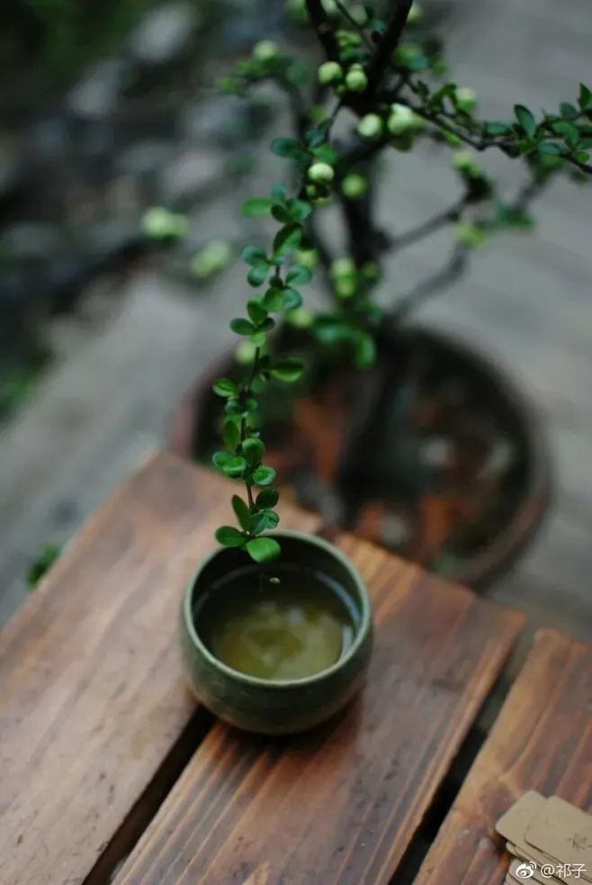 我亲人刚去世，老婆就在家里吃小龙虾，这样的女人还能要吗？休闲区蓝鸢梦想 - Www.slyday.coM