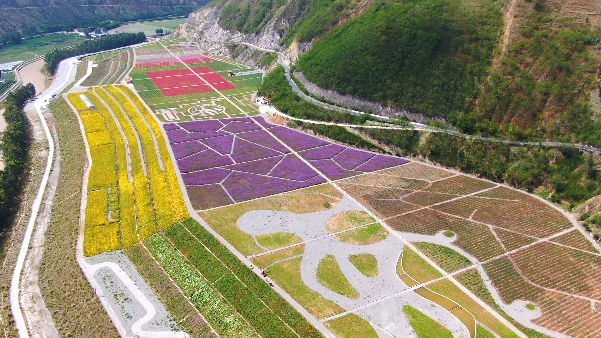 云南东川:昔日尾矿库 今朝变花海|花海|云南省|昆明市_新浪新闻