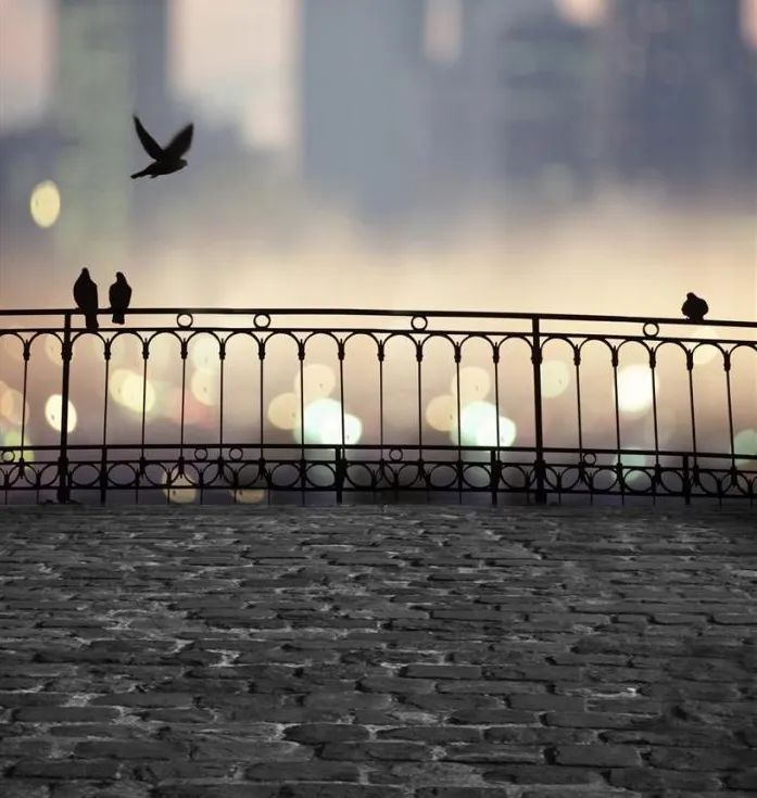 我亲人刚去世，老婆就在家里吃小龙虾，这样的女人还能要吗？休闲区蓝鸢梦想 - Www.slyday.coM