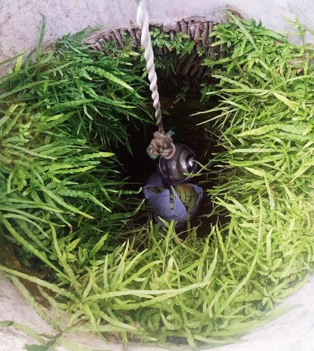 请 你 上 我 家 吃 瓜 呀休闲区蓝鸢梦想 - Www.slyday.coM