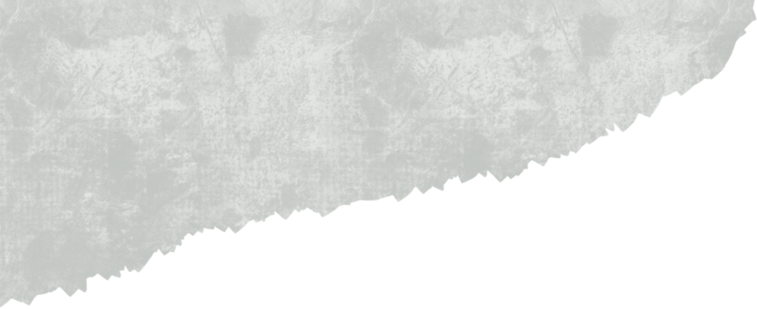 职场女性如何平衡事业与家庭？专访MBM学生、比亚迪高管朱倩芸休闲区蓝鸢梦想 - Www.slyday.coM