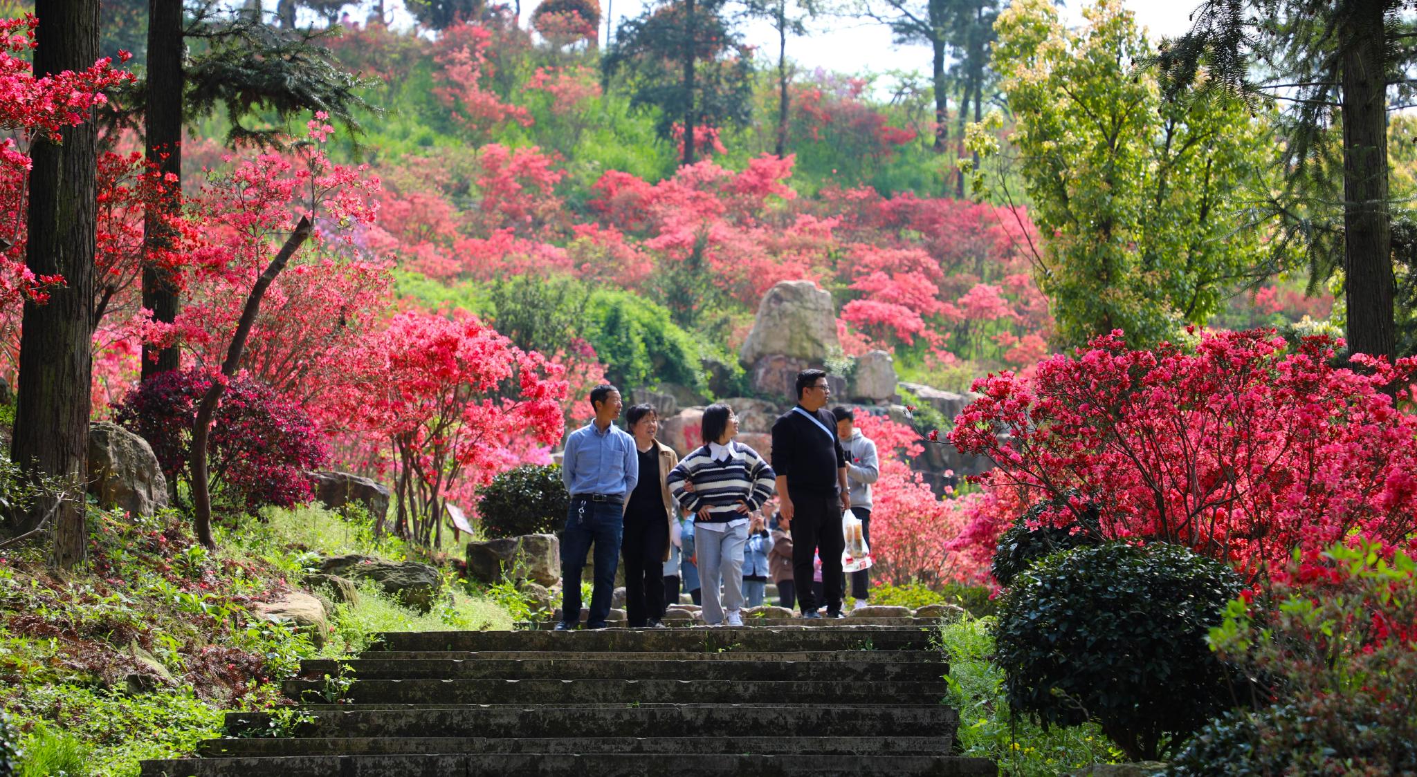绿色金融故事翻新上演钢铁中心变身花果山走出乡村振兴样本