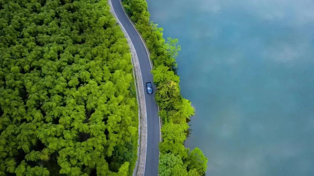 职场女性如何平衡事业与家庭？专访MBM学生、比亚迪高管朱倩芸休闲区蓝鸢梦想 - Www.slyday.coM