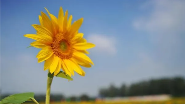 一个女人好不好撩,从三方面就可以看出来,一试便知休闲区蓝鸢梦想 - Www.slyday.coM 一个女人好不好撩,从三方面就可以看出来,一试便知休闲区蓝鸢梦想 - Www.slyday.coM