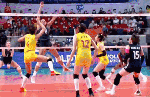 15+2+5，6画面3数据解析，中国女排0休闲区蓝鸢梦想 - Www.slyday.coM