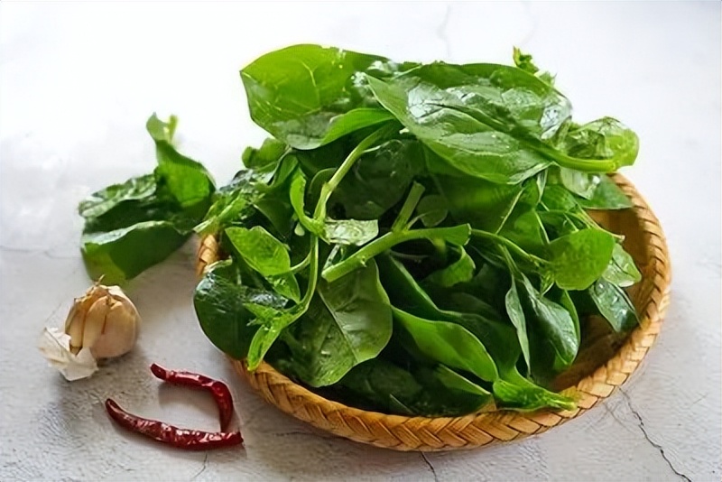 多吃菠菜眼睛"亮"蓝莓中所含有的花青素可以促进视网膜中视紫红质的