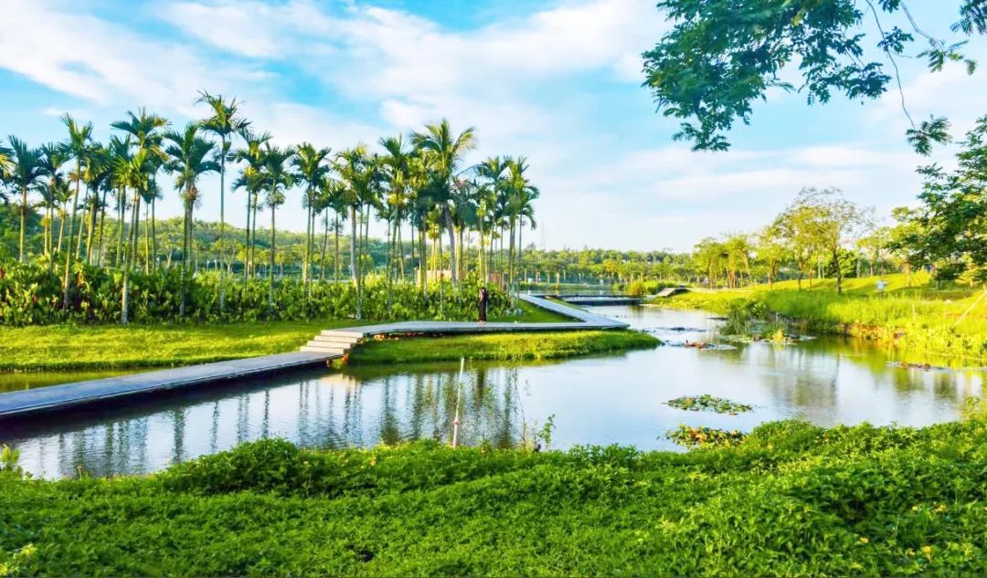 海口美舍河国家湿地公园