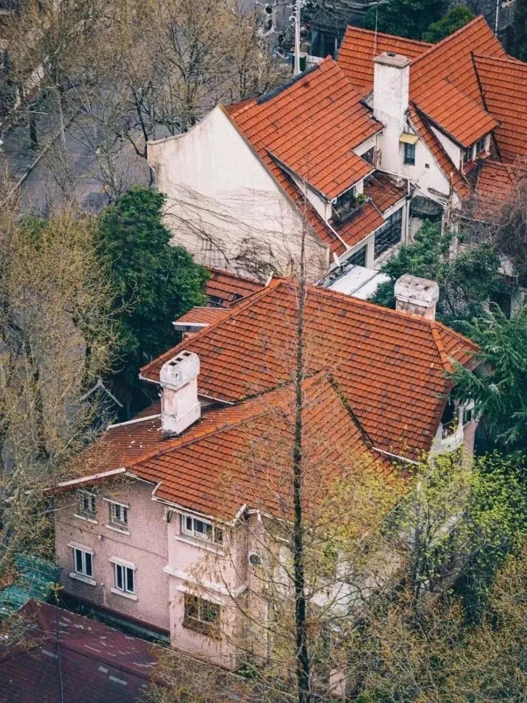 楼市信号！煤老板抄底上海楼市，能买一栋绝不买一层休闲区蓝鸢梦想 - Www.slyday.coM