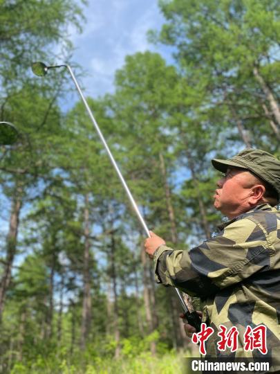 拿捏了！森林医生为小鸟建“产房”：高级“看护”成深山“顶流”休闲区蓝鸢梦想 - Www.slyday.coM