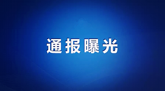 景德镇市通报2起损害营商环境典型问题