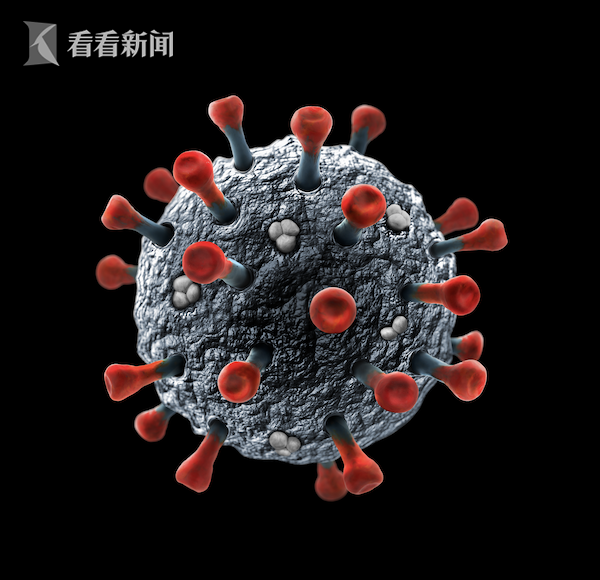 视频｜泰国报告全球首例 猫采样打喷嚏将新冠传给兽医休闲区蓝鸢梦想 - Www.slyday.coM