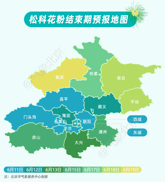 过敏患者鼻涕止住了眼睛不痒了北京松科花粉期结束