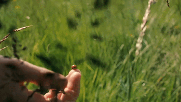 “谁给40万救我爸，我就嫁谁”：2年前，说这话的95后河南女孩，后来嫁了吗？休闲区蓝鸢梦想 - Www.slyday.coM