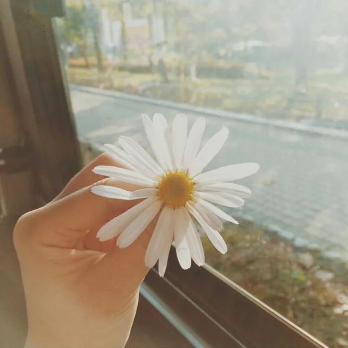 “谁给40万救我爸，我就嫁谁”：2年前，说这话的95后河南女孩，后来嫁了吗？休闲区蓝鸢梦想 - Www.slyday.coM