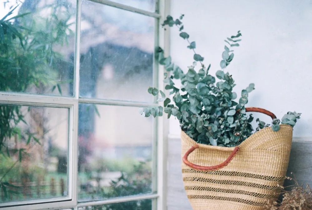 “谁给40万救我爸，我就嫁谁”：2年前，说这话的95后河南女孩，后来嫁了吗？休闲区蓝鸢梦想 - Www.slyday.coM