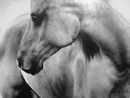 自学成才的宝妈画家，用作品证明了，只要有梦想谁都了不起休闲区蓝鸢梦想 - Www.slyday.coM