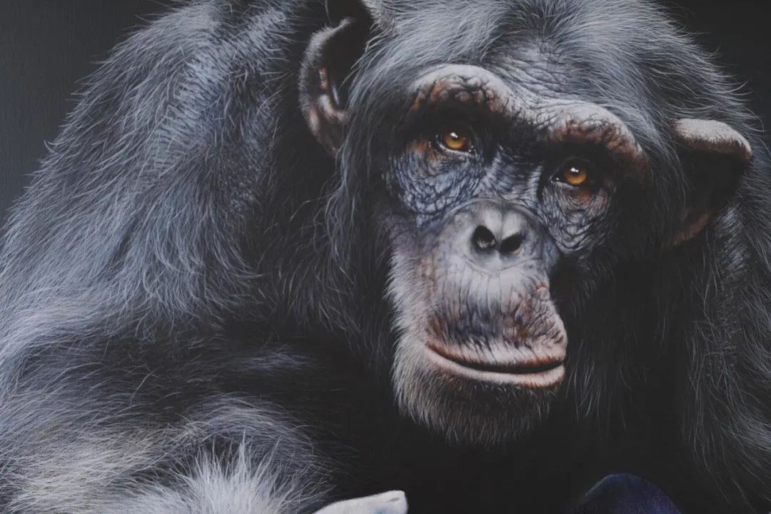 自学成才的宝妈画家，用作品证明了，只要有梦想谁都了不起休闲区蓝鸢梦想 - Www.slyday.coM