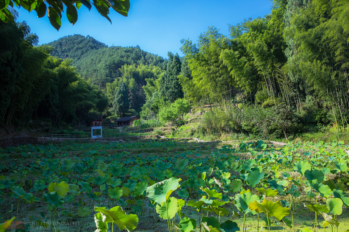 杭州淳安下姜村，因一部电影成为网红打卡地，看着是不是很眼熟？休闲区蓝鸢梦想 - Www.slyday.coM