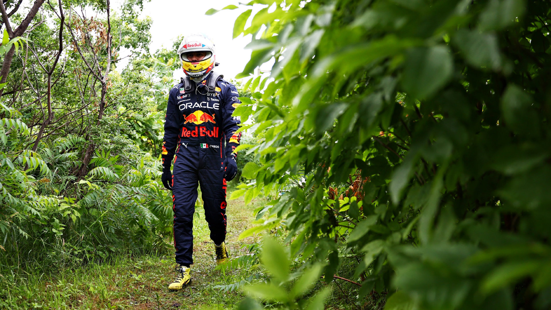 丛林探险家佩雷兹