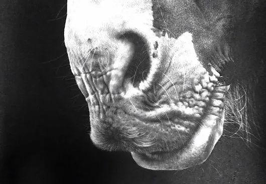 自学成才的宝妈画家，用作品证明了，只要有梦想谁都了不起休闲区蓝鸢梦想 - Www.slyday.coM