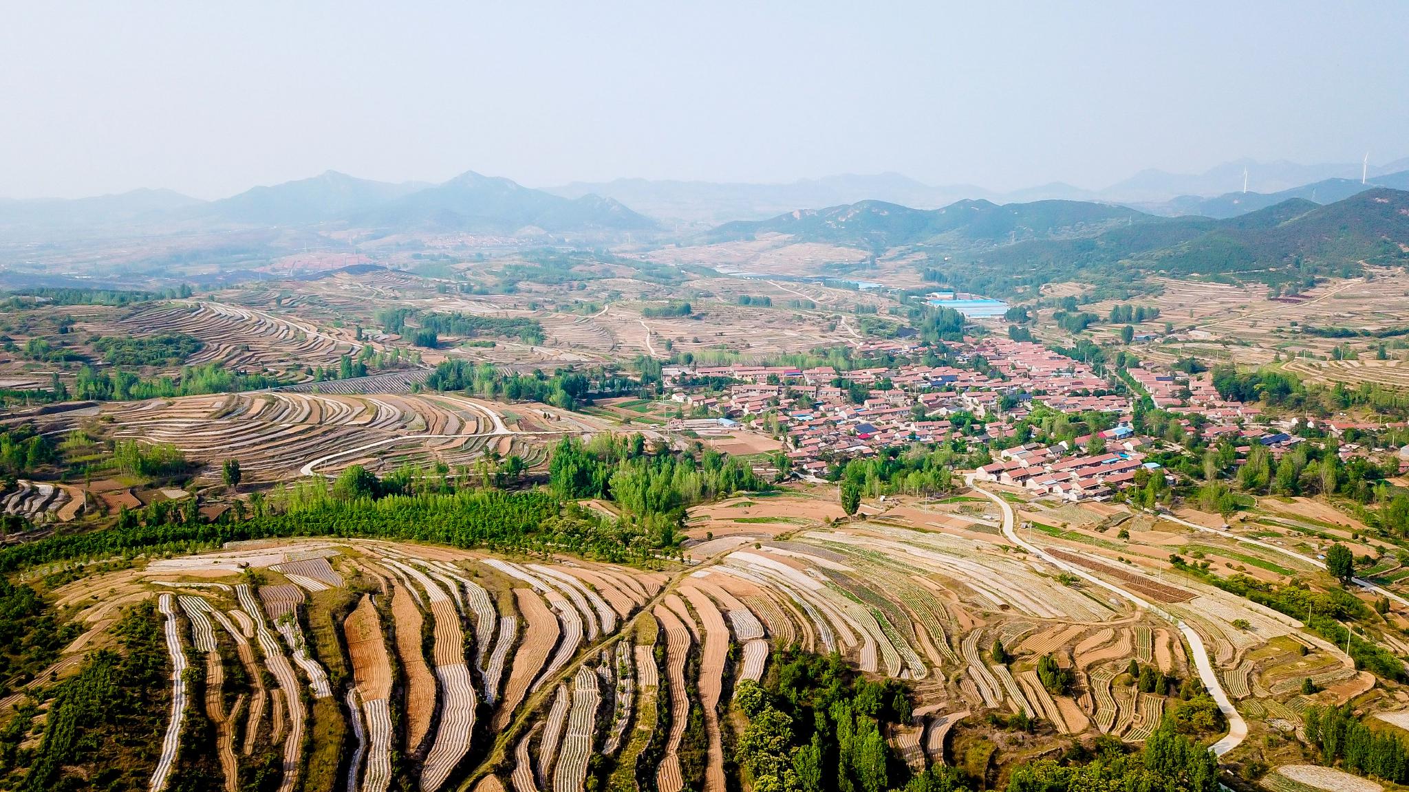 山东五莲:努力开辟山区绿色发展新路|山东省|玫瑰|沂蒙_新浪新闻