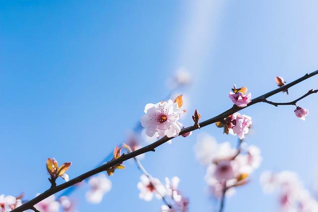 心理学：为什么你跟别人“对视”时，会忍不住“笑场”？休闲区蓝鸢梦想 - Www.slyday.coM