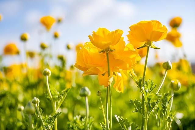 心理学：为什么你跟别人“对视”时，会忍不住“笑场”？休闲区蓝鸢梦想 - Www.slyday.coM