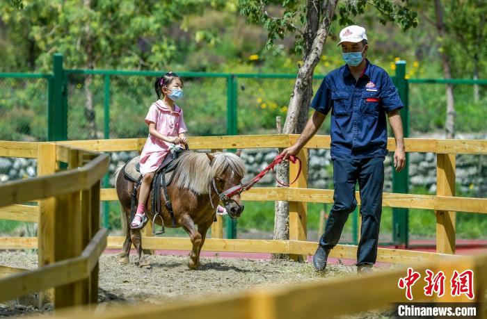 小朋友在工作人员的牵引下,骑矮马感受骑行乐趣. 刘新 摄