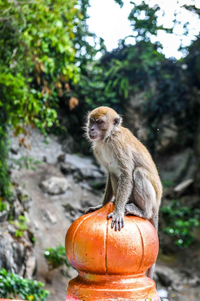 被誉为世界神秘洞穴之一,大约有4亿年历史,是极佳的拍照打卡地休闲区蓝鸢梦想 - Www.slyday.coM 被誉为世界神秘洞穴之一,大约有4亿年历史,是极佳的拍照打卡地休闲区蓝鸢梦想 - Www.slyday.coM