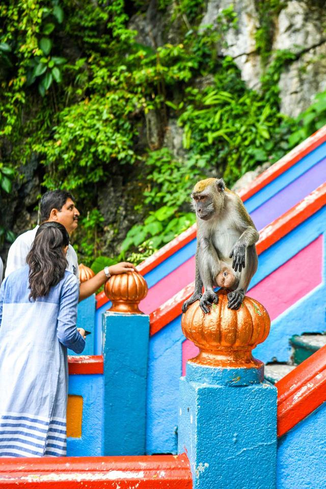 被誉为世界神秘洞穴之一,大约有4亿年历史,是极佳的拍照打卡地休闲区蓝鸢梦想 - Www.slyday.coM 被誉为世界神秘洞穴之一,大约有4亿年历史,是极佳的拍照打卡地休闲区蓝鸢梦想 - Www.slyday.coM