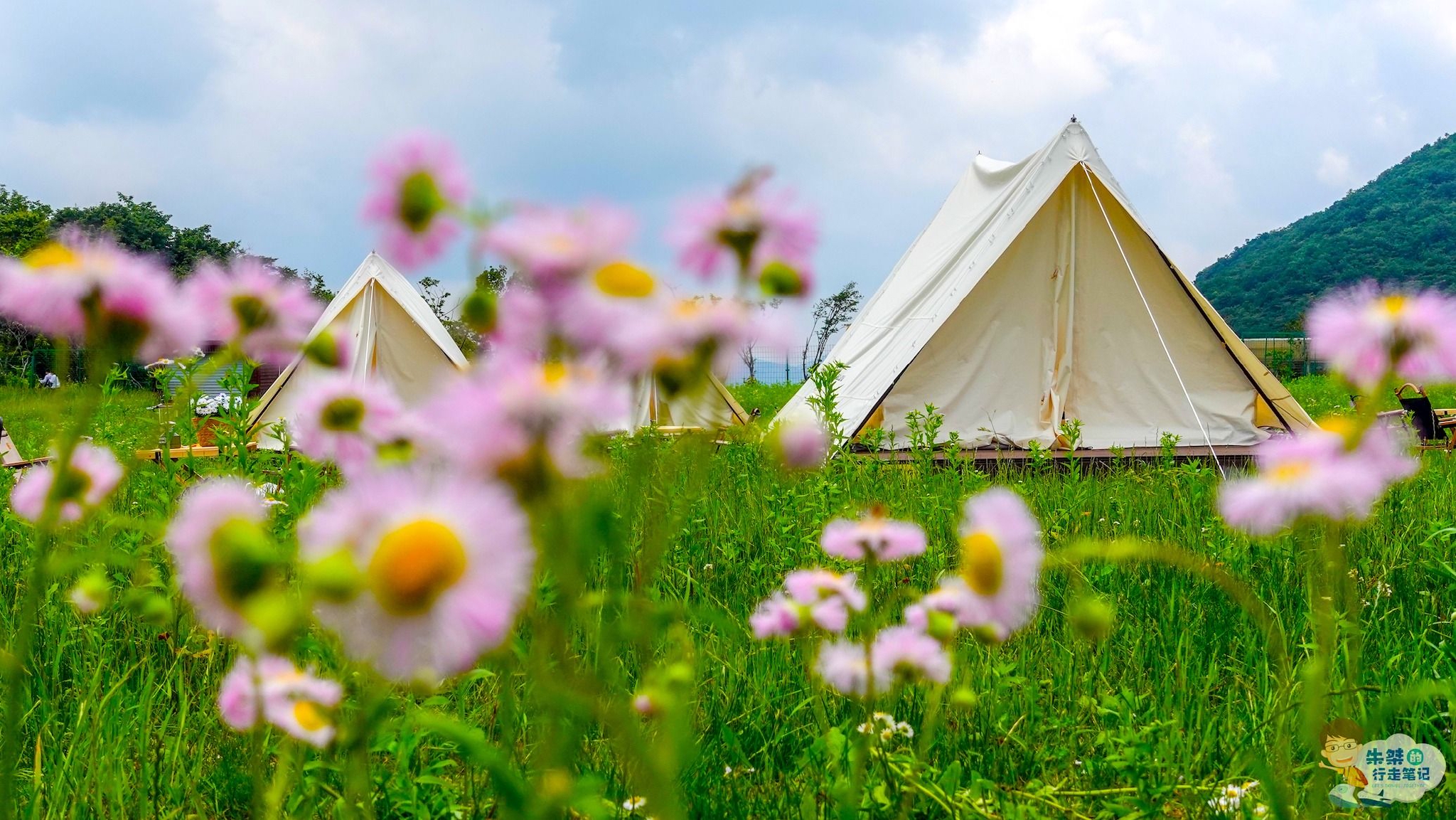 亲荐几处超棒的露营地山水田园篝火星空就在长三角露营天堂