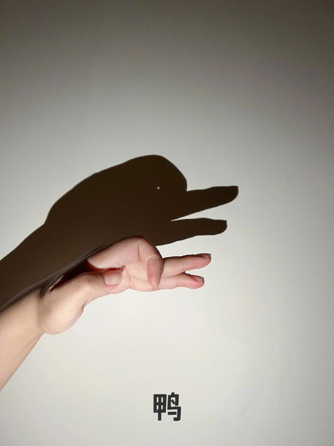 适合睡前陪孩子一起玩的睡前小游戏儿童手影游戏