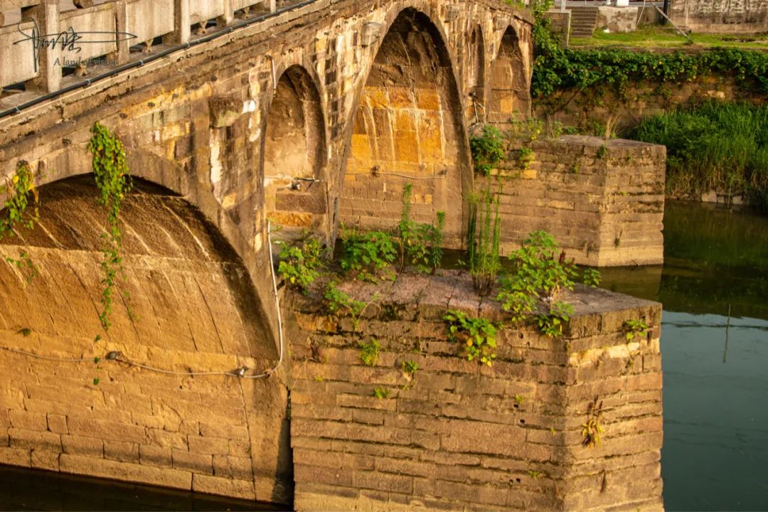 杭州最老的古桥横跨于如今郊外默默无闻的南苕溪之上