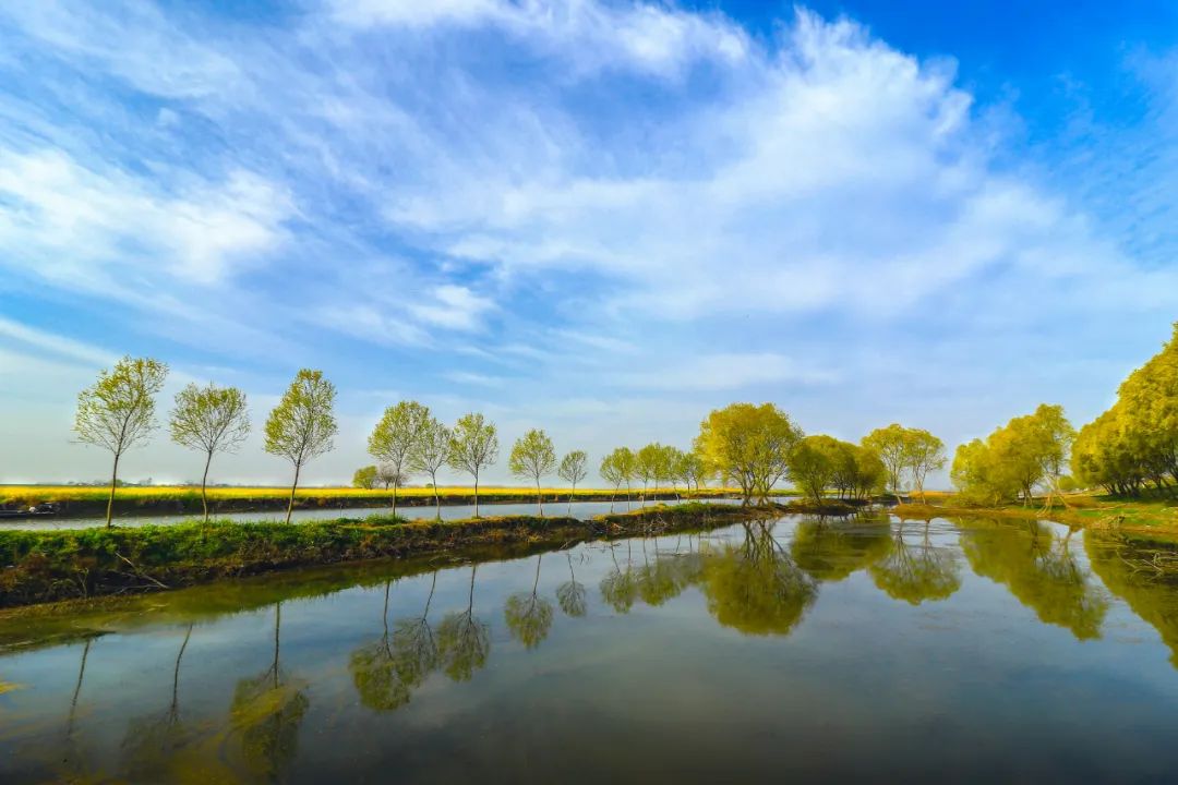 安徽阜南百里蒙洼旅游廊道就是这么美
